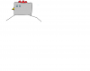 Chicken.png
