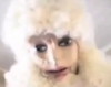 ms sheil.PNG