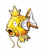 79229_images4.jpeg