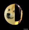 Doge Punk.jpg