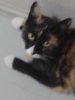 20131002_203214.jpg