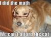 Dog meme.jpg