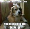 Dog meme 2.jpg