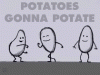 image.gif
