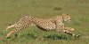 upload_2016-8-11_16-58-9.jpeg