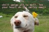 image.jpeg