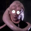 bib-fortuna-sw.jpg