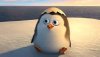 upload_2016-8-24_20-46-31.jpeg