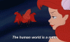 gif12.gif