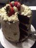 Eating Cake2.JPG