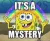 It's A Mystery .jpeg