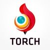 torchbrowser.jpg