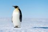 upload_2016-9-3_16-26-23.jpeg