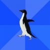 Socially-Awkward-Penguin.jpg
