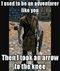 i-used-to-be-an-adventurer-like-you-then-i-took-an-arrow-to-the-knee-1.png