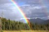 rainbow.jpeg