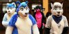 o-FURRIES-facebook.jpg