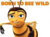 bee movie.jpg