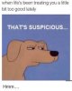 that's suspicious.jpeg