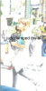 upload_2016-9-27_12-6-42.png