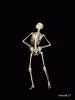 KHc4t2P.gif