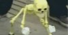 images.jpg