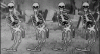 IMG_1353.GIF