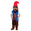 Gnomestar.png