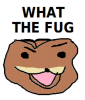 IMG_0477.PNG