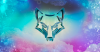 Screen Shot 2016-11-02 at 2.28.46 pm.png