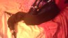 20161107_160842.jpg