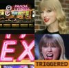 triggered-taylor-swift-panda.jpg