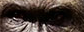upload_2016-12-21_20-21-3.png