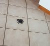 20161223_114559.jpg