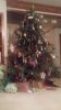 20161223_220836.jpg
