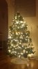 20161224_070221.jpg
