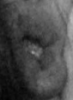 upload_2016-12-28_20-43-20.png