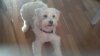 20161206_153141.jpg