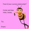 IMG_0295.PNG