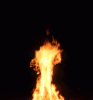 IMG_9509.GIF