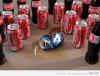 coke-beats-up-pepsi.jpg
