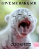 GIVE BAKK MII COOKEEH.jpg