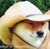 1490648576246.png