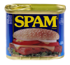 IMG_2013.PNG