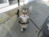 DSCN4238.JPG