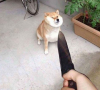 1489832937599.png