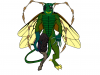 Cobrastein.png