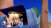 1ac720d4-5252-450a-90d6-a82563fa77b0.png