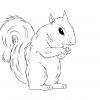 squirrek.png