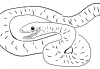 snek.png